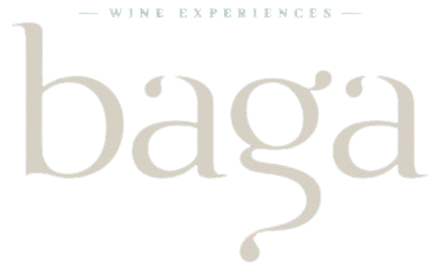 Baga_Logotipo_1_-removebg-preview